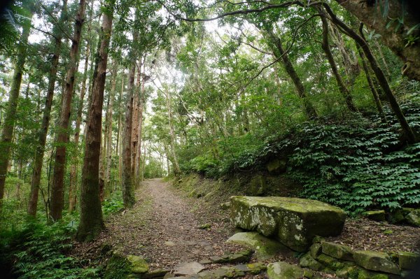 桃園-三峽 志繼山、東眼山、拉卡山、卡外山3005221