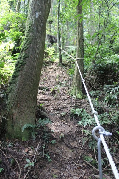 淡蘭南路獵狸尖步道1002668