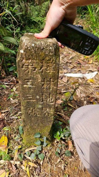 20260308內灣三山(內灣山-麥樹仁山南峰-麥樹仁山-舊砲台山-加那排山-白石湖山)3013429