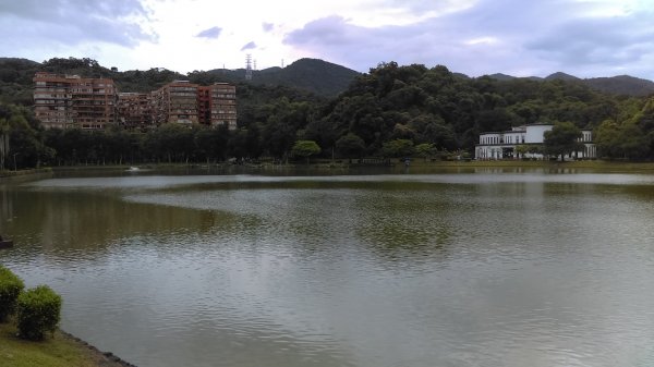 內湖碧湖公園環湖步道的湖光山色、波光粼粼987799