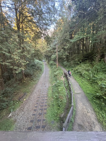 20251225塔山步道(大塔山)2970273