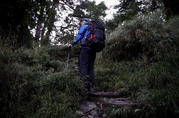 帝王之座-南湖圈谷｜審馬陣山＋南湖北山＋雲稜/南湖圈谷山屋2884855