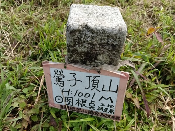 雙溪區鶯子頂山-950峰-鶯子嶺去回3033903
