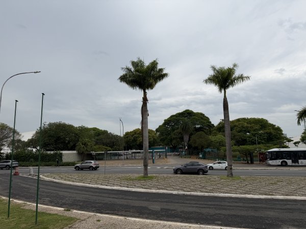 [紐約馬之行-66] 2025_1116 聖保羅方尖碑2954950