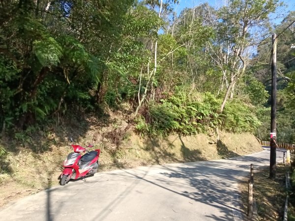 雙溪區大平林山+后番子坑古厝+后番子坑山+武山煤礦事務所+焦炭窯O型2988520