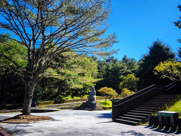 2025-08-24 塔塔加-大鐵杉-鹿林山莊-鹿林前山-鹿林山-黑森林-玉山登山口-上東埔2869069