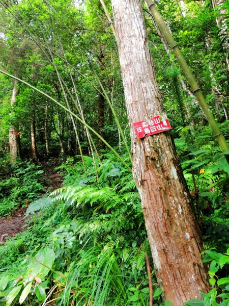 飆汗換挑戰。(高島縱走) 高台山x島田山743951