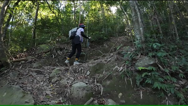 白毛山(谷關七雄No:6)3069014