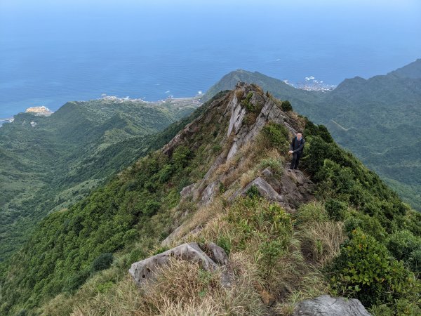 劍龍稜無耳茶壺山1468091