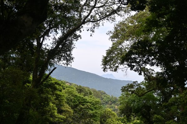 中級山-高島縱走2888416