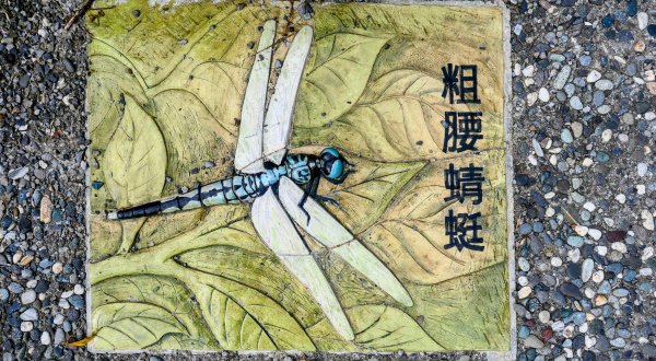 《臨江仙・碧山巖櫻花》2714210