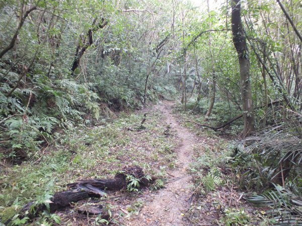 百二階古道+苕谷瀑布+逸仙山+泰和樓2734491