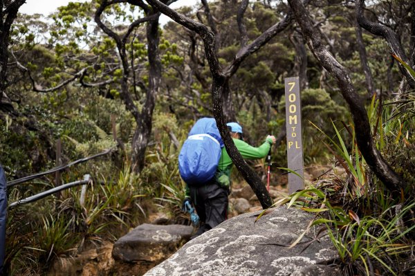 馬來西亞 京那巴魯山 Gunung Kinabalu2756363