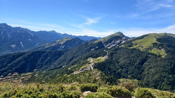 合歡山北峰 小溪營地 鷹角石 合歡北峰名樹2903400
