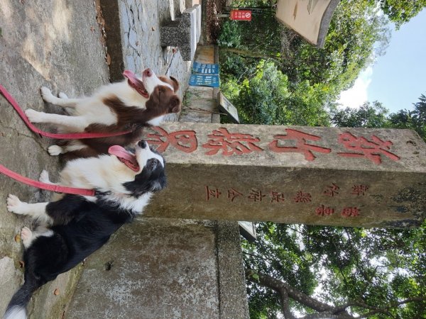 參山國家風景區－獅頭山1141199