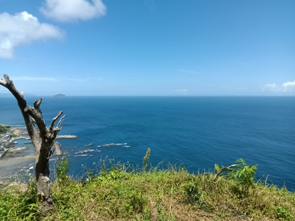 瑞芳區黃金8.5稜+南雅山O型2866447