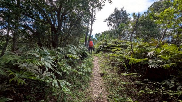 114.06.28內平林山-番子坑山-平湖森林遊樂區之O型2824256