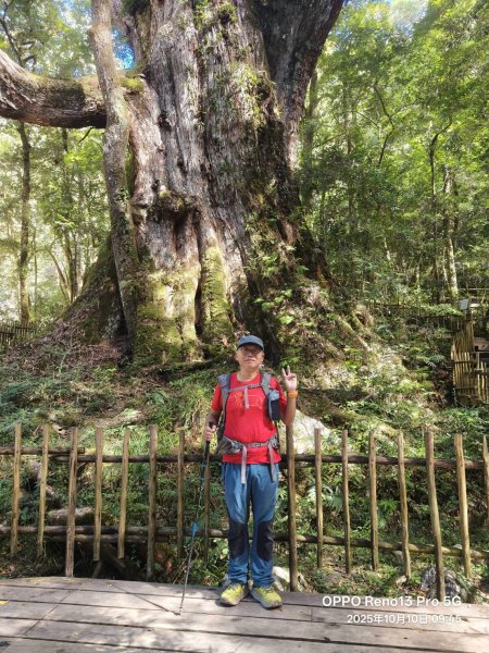 [皮皮獅探險隊-11/10] 2025_1010 隱藏任務–司馬庫斯神木群步道2912312