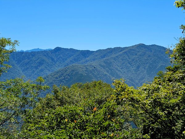 油羅山-2025森遊竹縣皮皮獅探險隊2910099