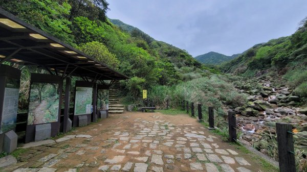 擎天崗系步道巡禮2104319