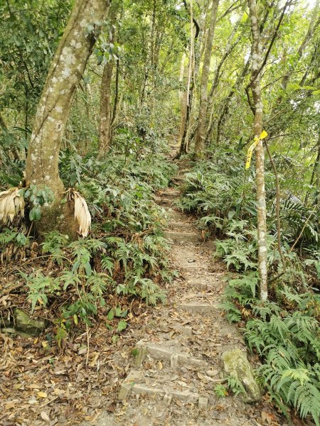 步道巡訪員 l 鳥嘴山步道10月巡訪日誌1139548