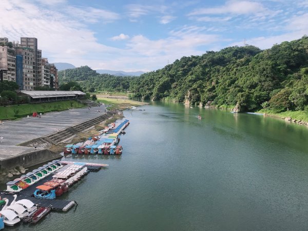 ~ 和美山步道 ~1085299