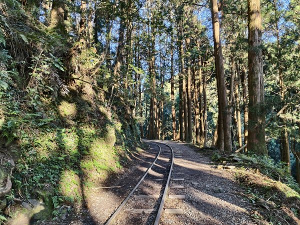 [百山百鳥尋旅-12/15] 2025_0928 特富野古道2899599