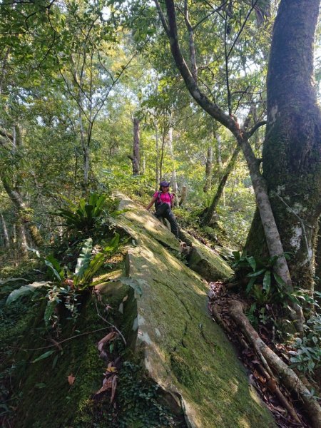 那結山（嘎色鬧部落線）893430