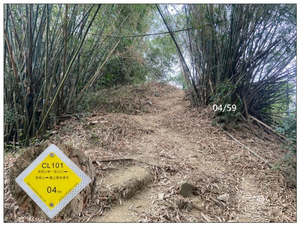 旗靈縱走(旗尾山、福美山、金字面山、人頭山、靈山)2996446