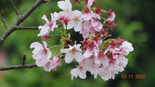 沒有意外，再度槓龜 !876566