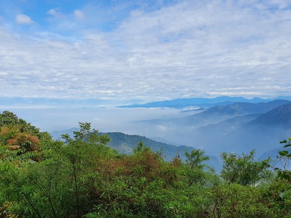 【雲嘉茶園之美】後棟山連走大二尖山1532232