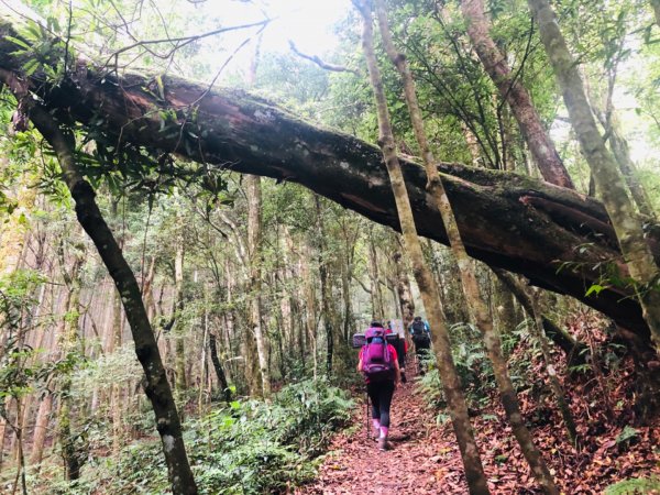 1090725高台山+美人湯1045470