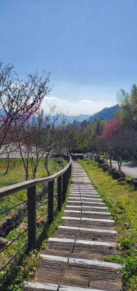 2025-01-30迷糊步道2704431