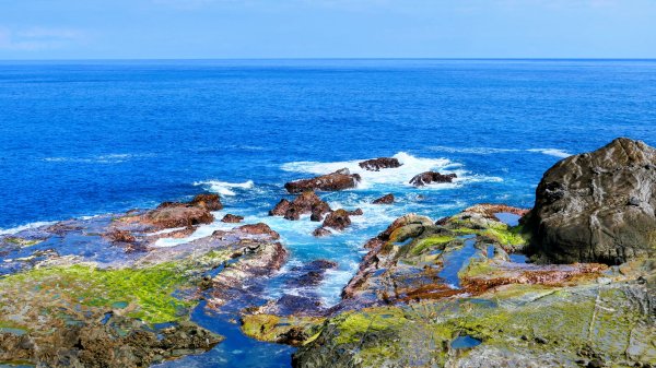 洄瀾東海岸3006680