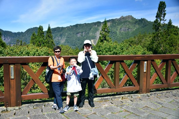20251011追公車搭公車阿里山漫遊2910908