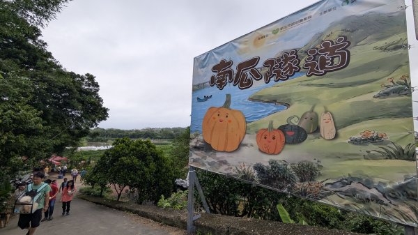 115.05.03小牛埔步道+南瓜隧道之旅3052226