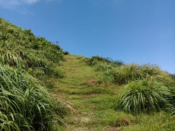 瑞芳區海園古道+鼻頭港稜+鼻頭山稜O型2872774