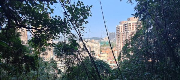 新店獅頭山(小獅山)步道2694736