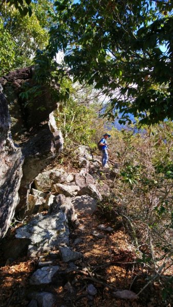 谷關七雄之四～波津加山1281765