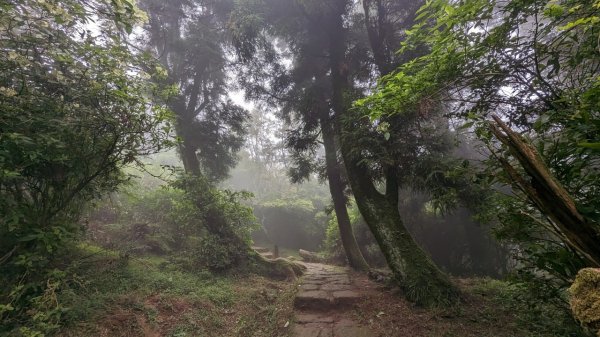 112.06.03風櫃嘴-頂山-石梯嶺-擎天崗東峰-頂山西南峰2172373