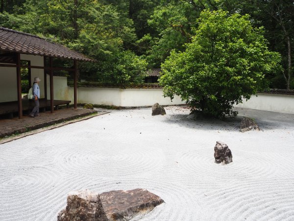 《宜蘭》北橫明珠｜明池國家森林遊樂區201805192889303