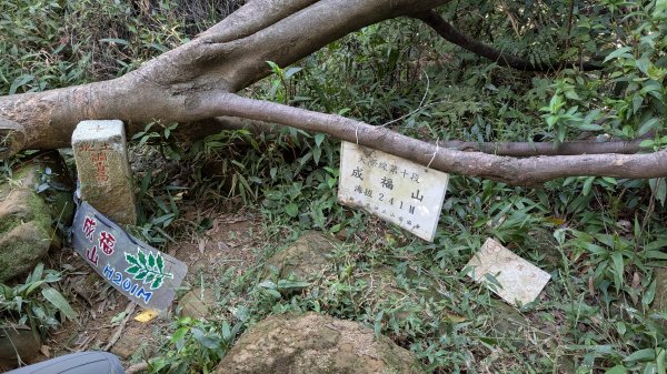 114.11.23龍泉山寺-成福山-十八羅漢岩-石門內尖山-石門內尖山東峰之旅2943739