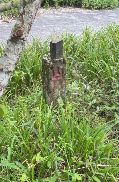 麻竹湖步道走麻竹湖山/阿郡山2821270