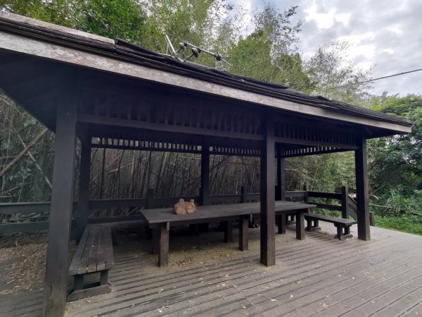 【新竹縣芎林鄉】文林古道2833076