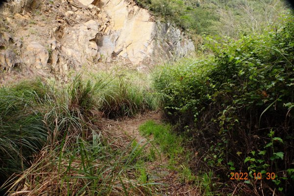 臺中 和平 馬武佐野郡山1894247