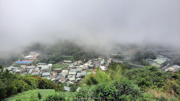 《嘉義》雲霧茶園｜雲嘉三加一連峰O繞202406082520280