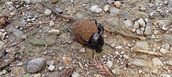 2025/05/03_白蘭溪古道2778159