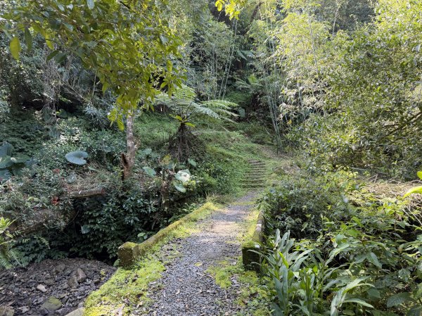 [淡蘭古道] 2026_0315 南路第三段_四分子古道3016925
