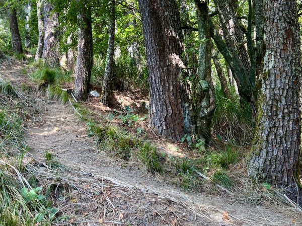 屏風山屋住一晚2916005