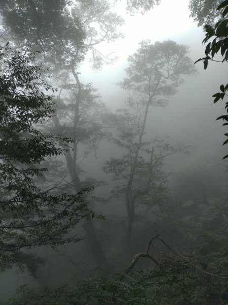 2023-02-26 登嘉南雲峰巧遇草嶺櫻花季2043962